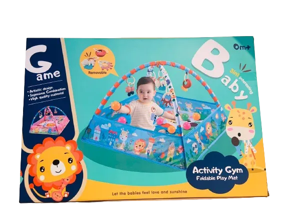 Play Gym